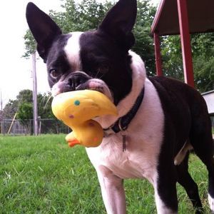 Meet your Posher, Debra